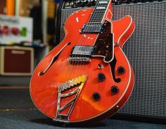 Best Semi Hollow Guitars 2026: Choices for All Budgets & Abilities